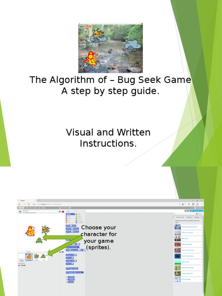 Bug Seek Game: Step-by-Step Guide | PDF