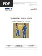 Programa de Manejo Manual de Carga Proyecto (1 