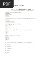Download Soal Materi Pencak Silat by bocah SN314008004 doc pdf