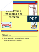 Anatomia y Fisiología Del Corazón