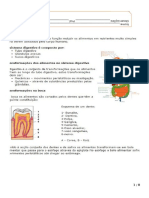 Ft6 001 (Sistema Digestivo e Respiratório)