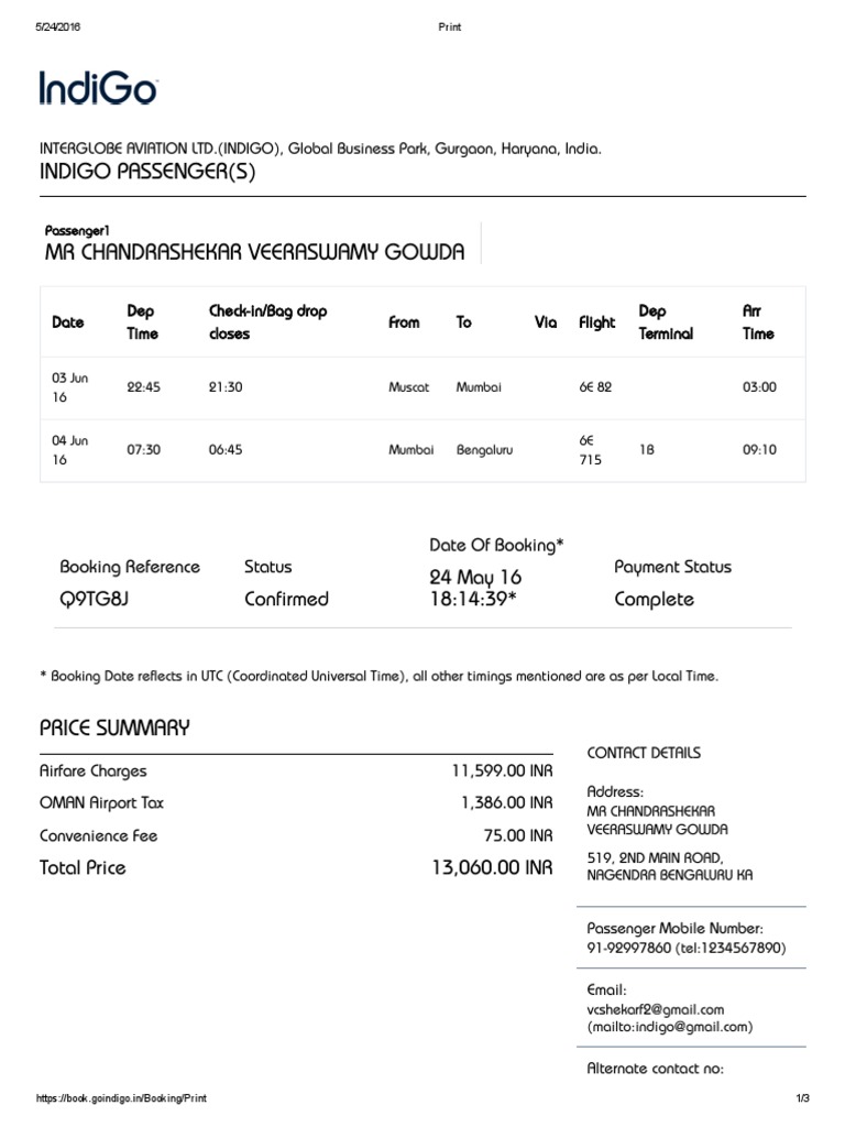 Air Indigo Ticket Identity Document Airport