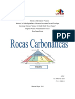 Trampas de Hidrocarburos Ensayo