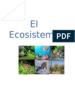 El Ecosistema