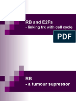 RB and E2Fs: - Linking TRX With Cell Cycle