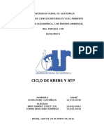 Ciclo de Krebs y ATP