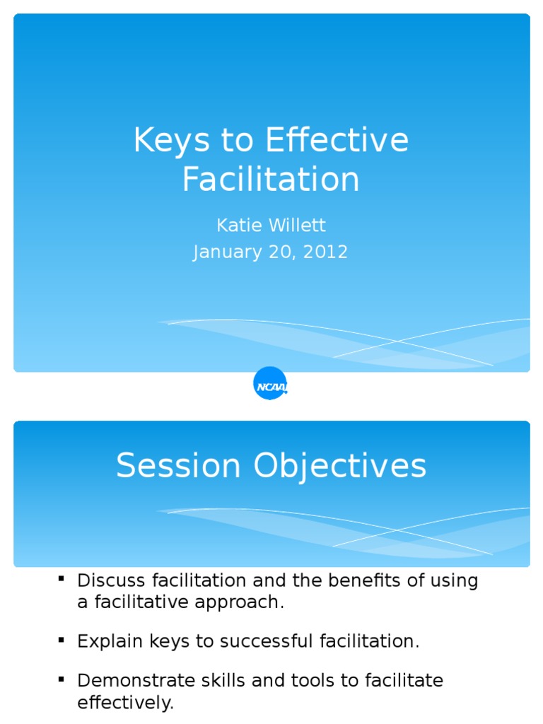 Effective Facilitation Techniques Guide | PDF | Learning Styles ...