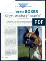 Raza Boxer