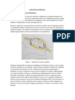 ANESTESIA EPIDURAL.docx