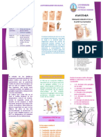 Triptico Drenaje Linfatico Mama PDF