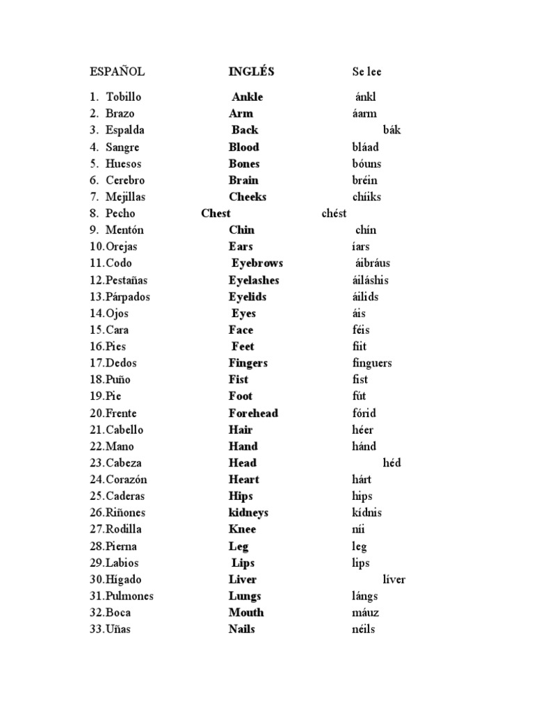 PARTES DEL CUERPO HUMANO EN INGLES Y ESPAÑOL Anatomía