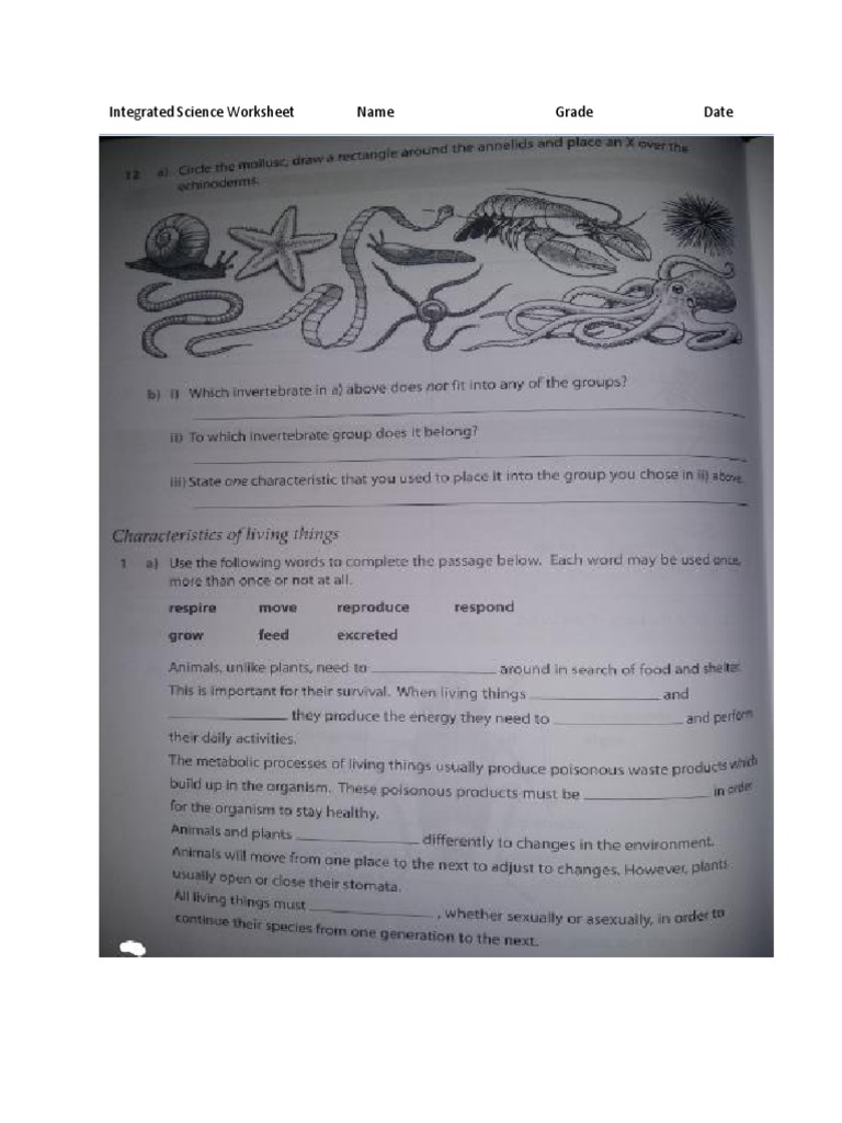 grade 7 integrated science worksheet