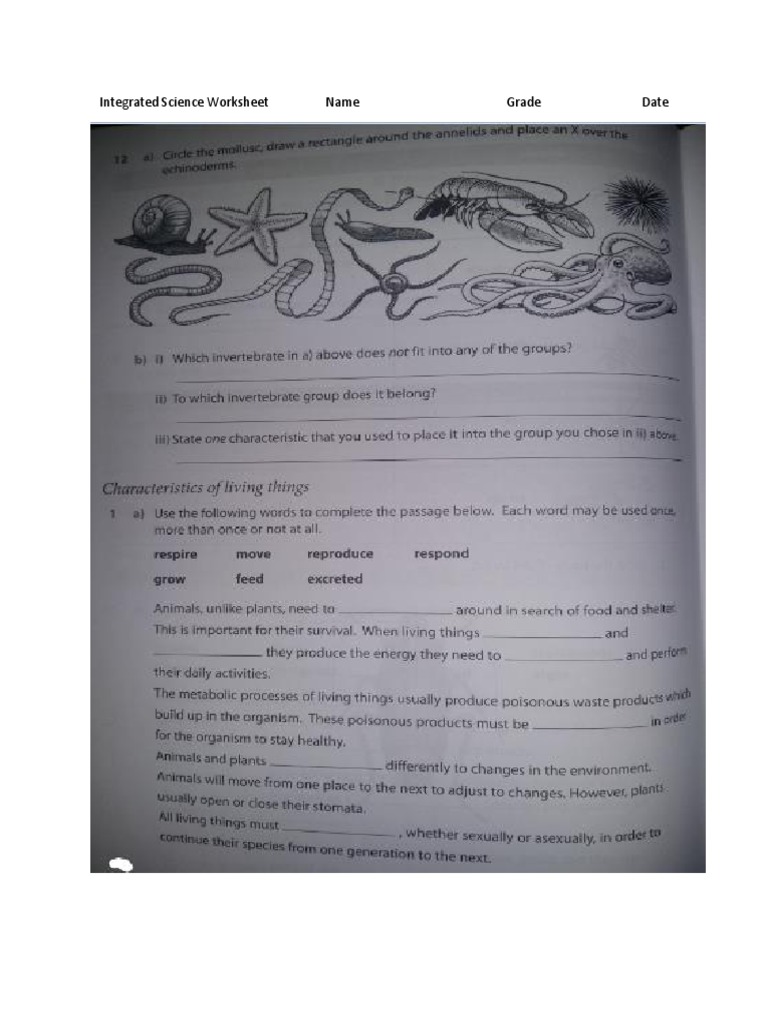 science live worksheet for class 7