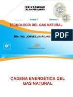 Ayuda 2 Cadena Del Gas Natural