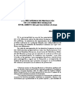 Los Mecanismos de Protección de Los Derechos Humanos en El Ambito de Las Naciones Unidas