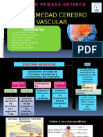 EVC: Enfermedad Cerebrovascular