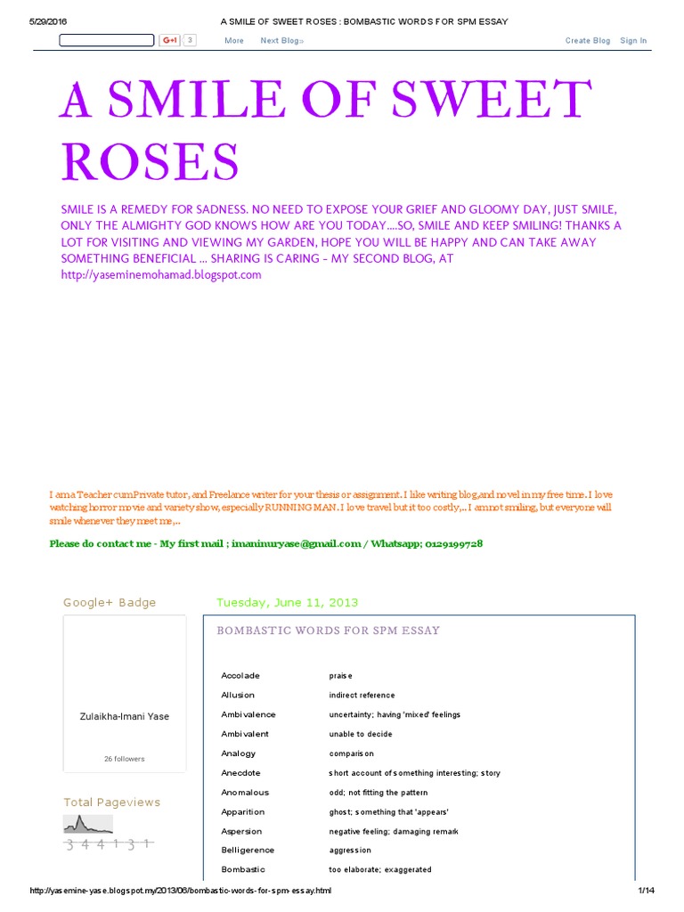 Advanced words to use in an essay image