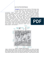 Download Pengertian Fungsi Reseptor Saraf Pada Kulit Manusia by riko SN314154309 doc pdf