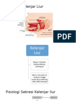 Kelenjar Liur Fix