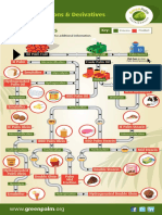 Oil Palm: Fractions & Derivatives Process Overview