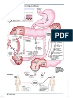 Entamoeba Hystolytica.doc