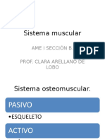 Sistema muscular 2003.ppt