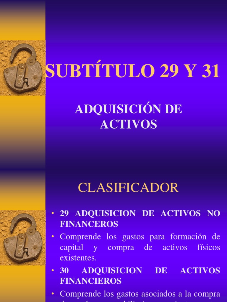 subt-tulo-29-y-31-pdf-deuda-presupuesto