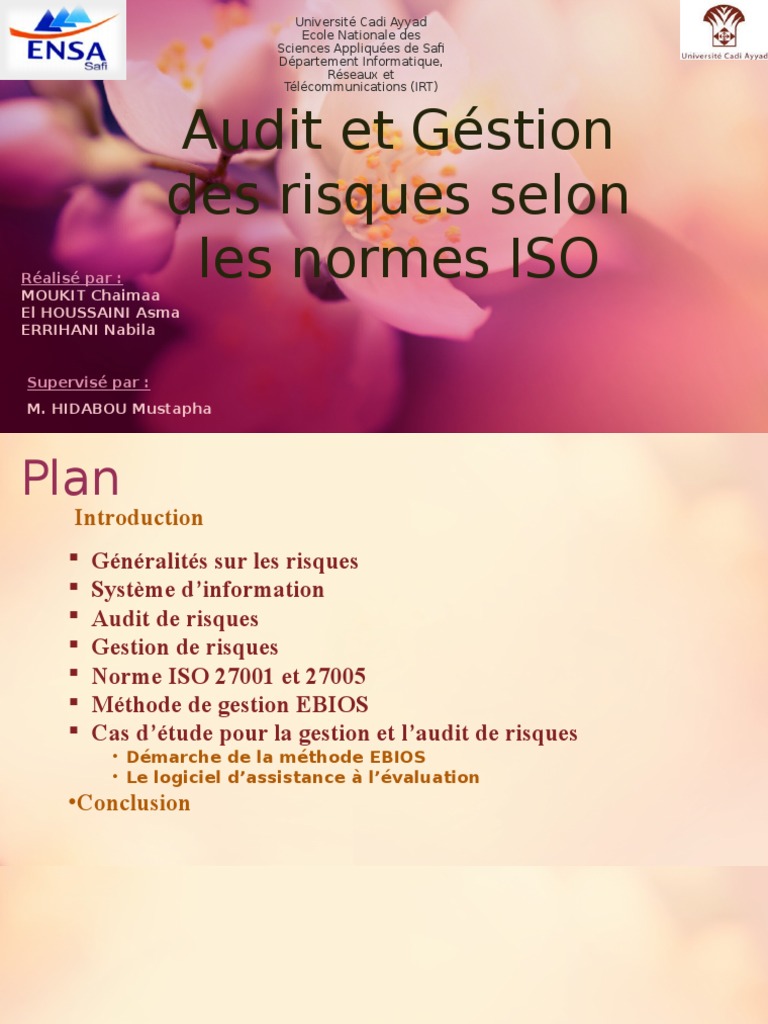 Audit Et Gestion Des Risques Selon Norme Iso | PDF | Sécurité des ...
