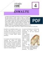 Bibliografia Libro Esmalte