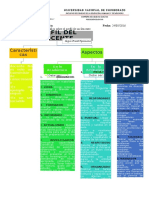 Organizador Grafico Del Perfil Del Docente