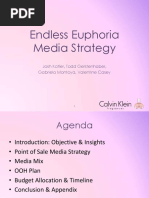 endless euphoria presentation final
