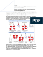 Prueba de Coombs 