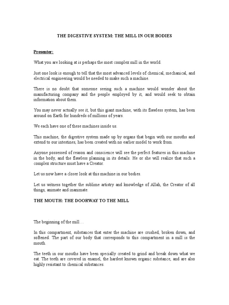 Digestion of a cheese and ham sandwich picture