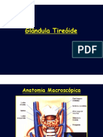 Glândula Tireóide: Anatomia, Hormônios e Distúrbios