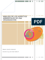 Analisis Ambientales d Una Organizacion