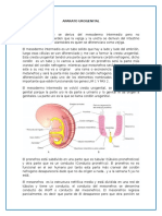 Aparato Urogenital