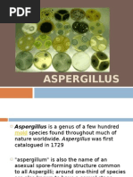 Download Aspergillus by Walid Fouad SN31423378 doc pdf