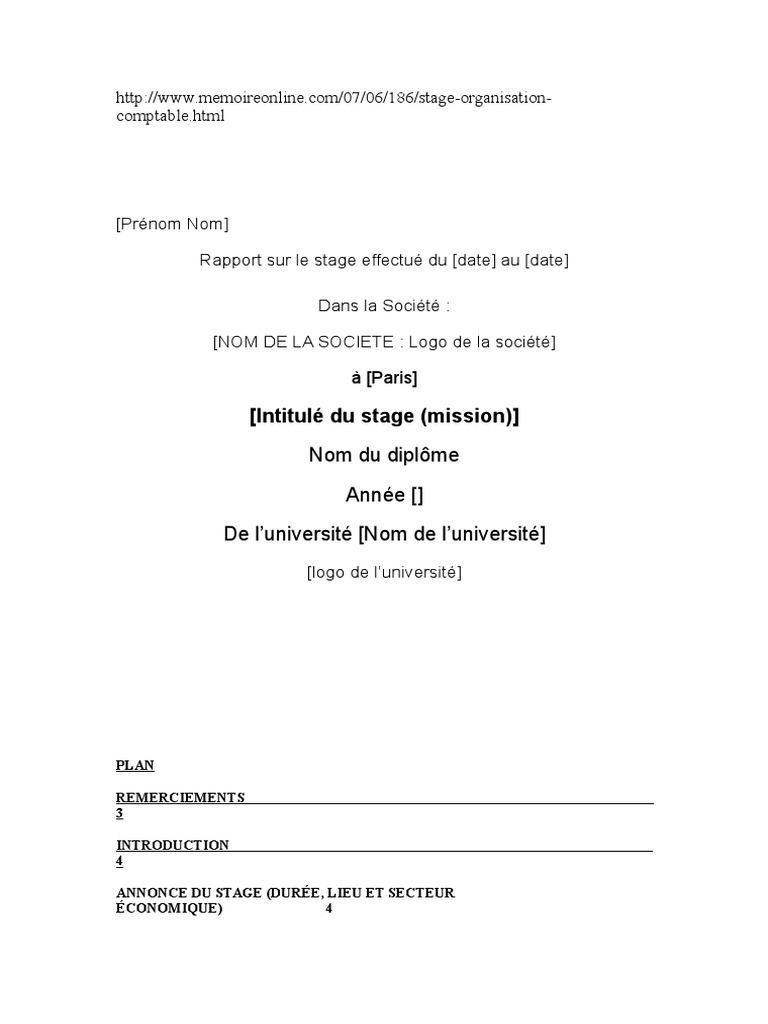 Exemple De Rapport De Stage Pdf Business Cognition