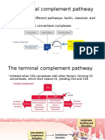 The Proximal Complement Pathway