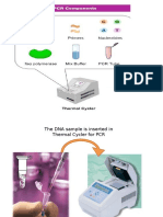 Slide PCR Component Edited