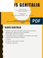 Ulkus Genitalia