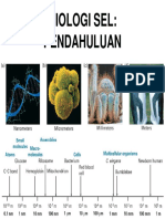 Pendahuluan Biologi Sel