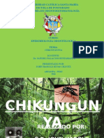 CHIKUNGUYA 