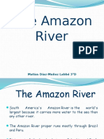 The Amazon River: Matías Díaz-Muñoz Labbé 3°D