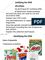 Lecture 3 Gene Libraries Printable Version