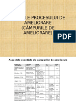 Verigile Procesului de Ameliorare