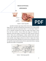 Tinjauan Pustaka Appendisitis