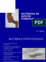 Bacteriosis en Especies Forestales PDF