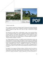 bosques higrofilo muy alterado.pdf