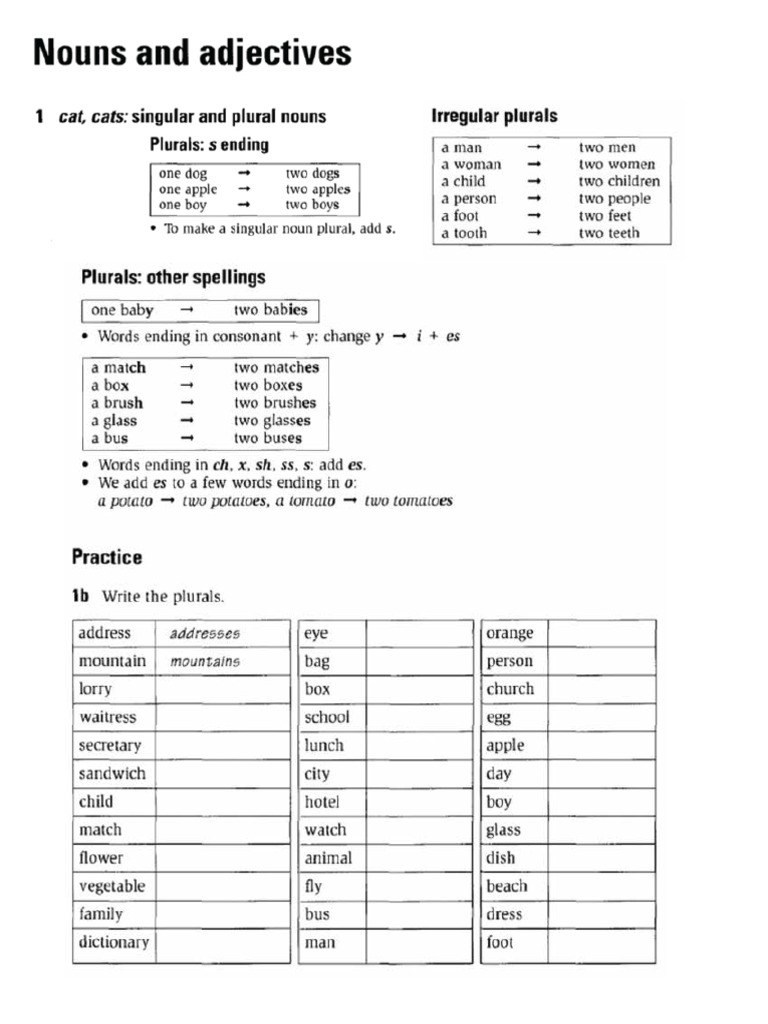 1 English | PDF